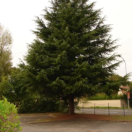 Budget Melun Sud - Les Lys